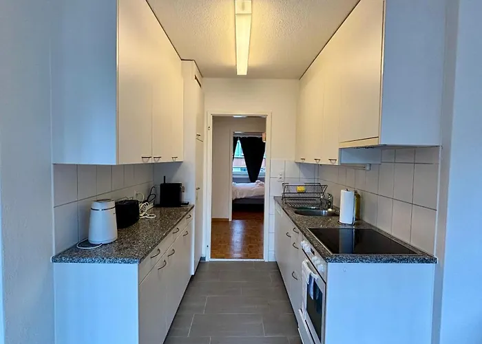 Your Next Is Witikonerstrasse Appartement *